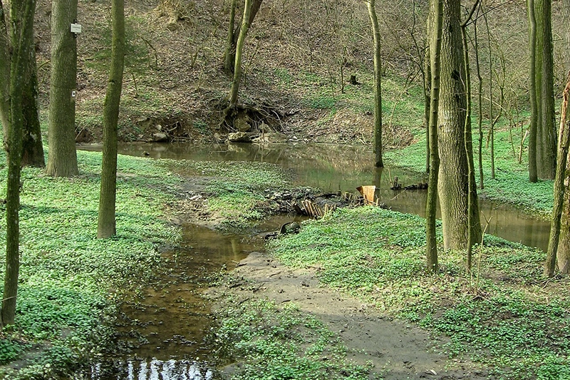 Hostěnické propadání